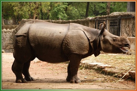 Kanpur Zoological Park